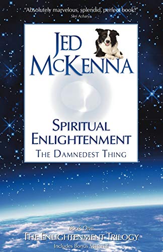 Spiritual Enlightenment, the Damnedest Thing: Book One of The Enlightenment Trilogy von Wisefool Press